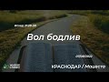 07.08.2022 | Вол бодлив (К) - Исход 21:28-30 | Церковь &quot;Живое Слово&quot;