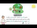 الأصدقاء الثلاثة لغتي الصف الأول الابتدائي جديد قصص نواف
