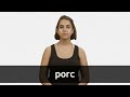 How to pronounce PORC in French