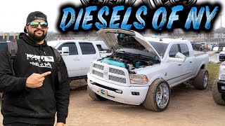 Diesel trucks of New York TAKE OVER