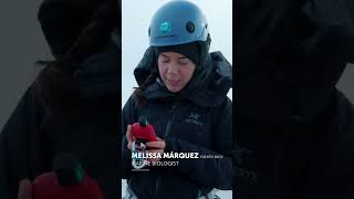 OceanXplorers: Kingdom of the Polar Bear - The Deeper Dive