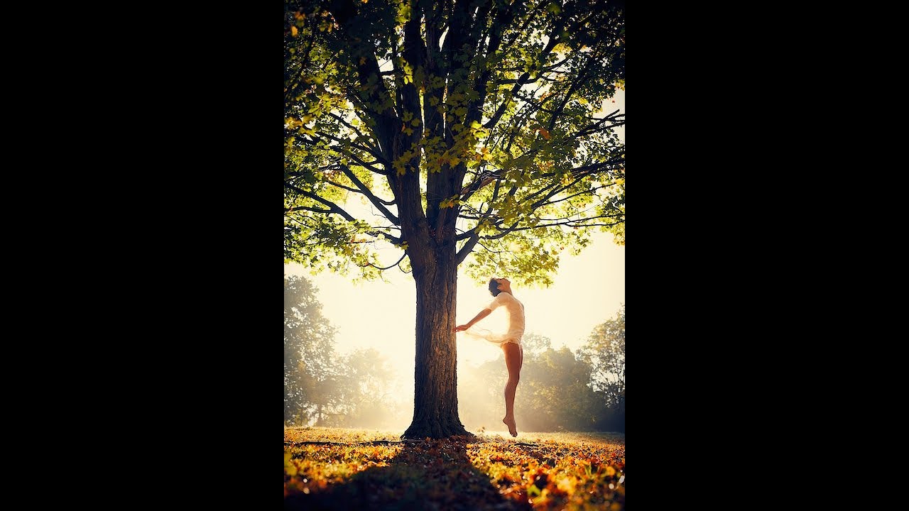 The Tree of Life YouTube