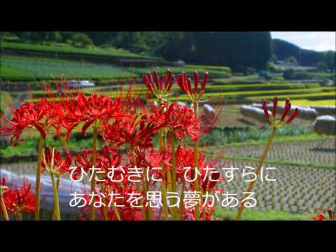 【片恋】 唄 さだまさし  カヴァ－ 唄：さだひろし