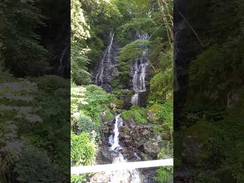 teragatani waterfall 寺ガ谷の滝 2023-08-13