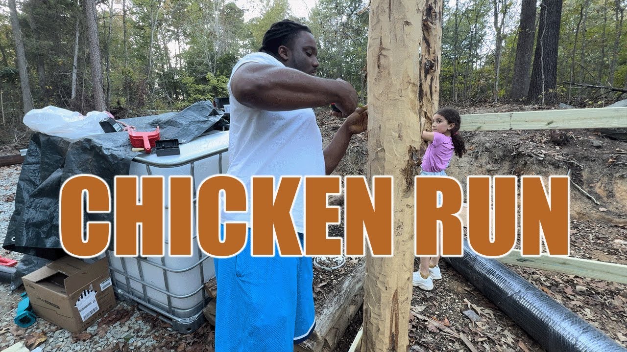 Homestead Project: Making the Chicken Run Step by Step! - YouTube