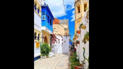 تلاوة جميلة جدا جدا تريح النفس و تملأها طمأنينة و سكونا #القران #القرآن_الكريم