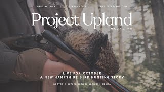 Ruffed Grouse and Woodcock Hunting in New Hampshire  Live for October