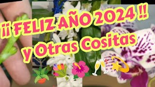 ¡¡ FELIZ AÑO 2024 !! Y OTRAS COSITAS 🪴💐🌺🥂💫