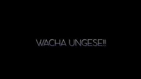 ROSA REE FT FIK FAMEICA - WACHA UNGESE_(Official video)