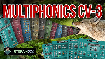 Modular Physical Modelling [AAS Multiphonics CV-3]