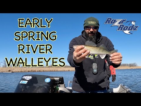 EARLY SPRING RIVER WALLEYES!! #walleye #riverfishing 