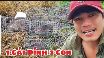 Muizenval zonder aas, gemakkelijk te vangen, 1 vangt 2, maakt een gerecht met gestoofde muizen ||...