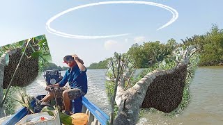 Tìm kiếm ong: vùng sông nước. Tuấn vĩnh Tây