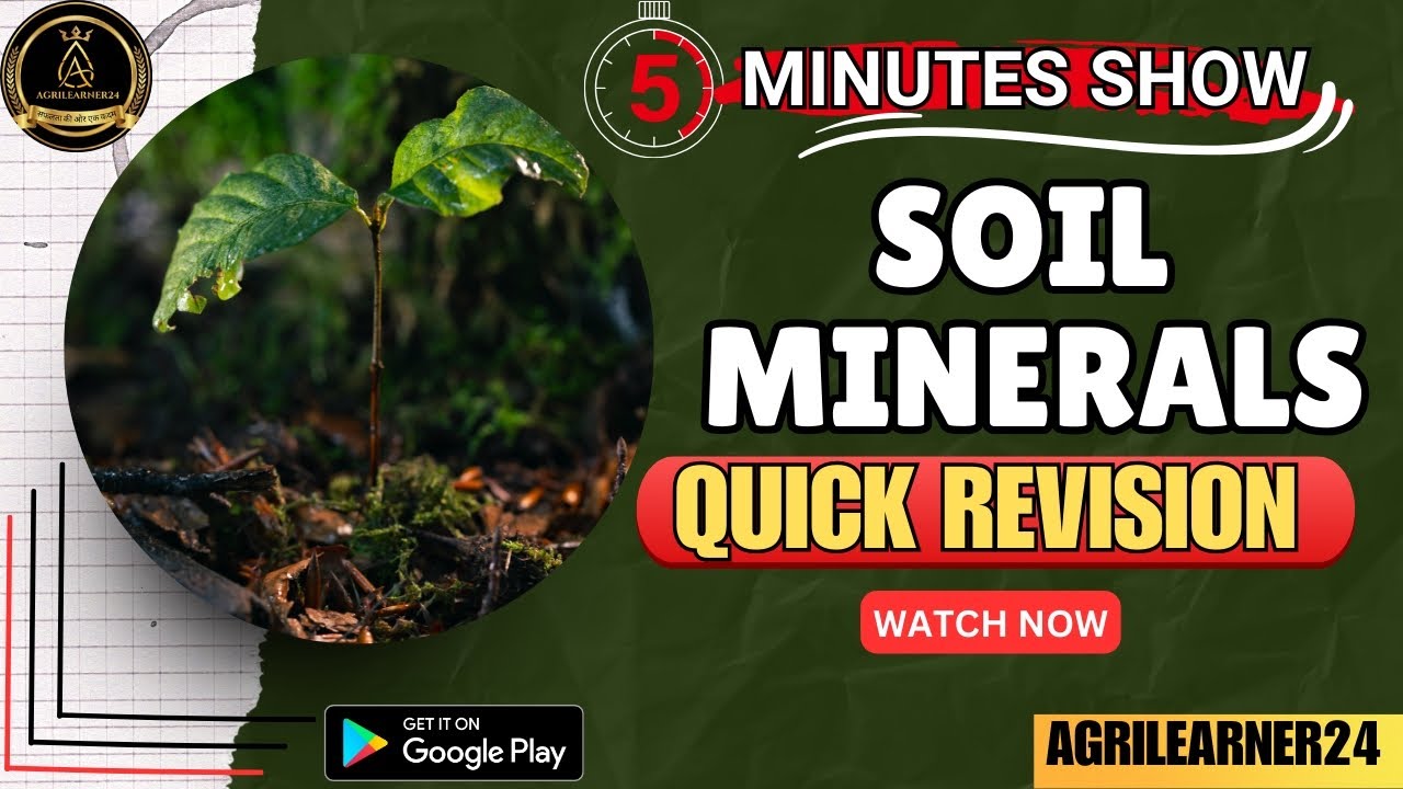 SOIL MINERALS || MOST IMPORTANT TOPIC || QUICK REVISION FOR ALL ...