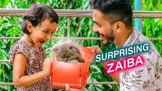 *SURPRISING* ZAIBA 🤩 WITH A CUTE CAT !!