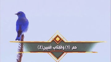 تلاوة جميلة للقارئ - علي تركماني -  سورة "الدخان"