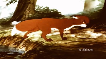 say yes pt 5 / Todd & Mewsette