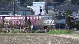 2010-03-11 [成田線] EF65 1051 + コキ50000形 + コキ100系, 高速貨1455
