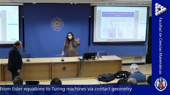 From Euler equations to Turing machines via contac...
