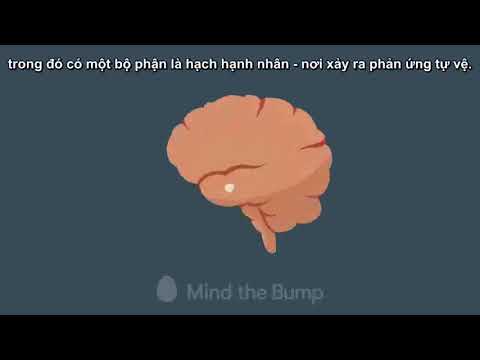 Video Thiền tỉnh thức và hoạt động của não bộ - YouTube