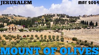 JERUSALEM Mount of Olives Silent Walk May2024 Holand Israel. #israel