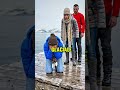 Le béluga le plus ADORABLE du monde… il fait craquer tout le monde 🐋💙