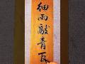 细雨敲青瓦，清明近，春意深 #书法 #写字是一种生活