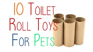 10 TOILET ROLL TOYS FOR PETS