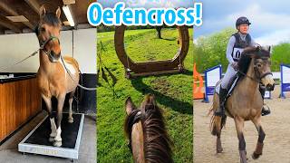 Bijzondere oefencross & MEGA AANKOOP BINNEN!🌷Feline Fauve