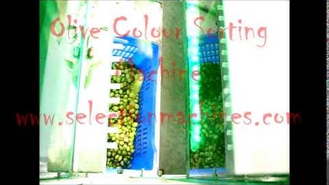 Olive Colour Sorting Machine