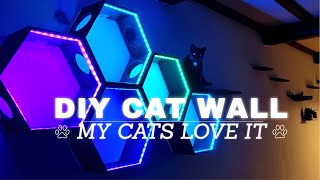 CAT WALL DIY with LED's! THE CAT SUPERHIGHWAY