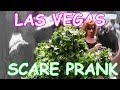 THE FUNNIEST BUSHMAN SCARE PRANKS EVER - The Las Vegas Bushman Prank - Episodes 5-8 FUNNY VIDEO