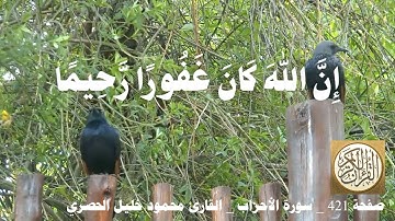 421 الصفحة   القرآن الكريم   سورة الأحزاب   بصوت الحصري