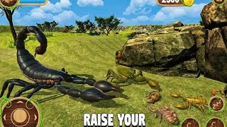 Best Animal Games - Furious Scorpion Family Simulator Android Gameplay screenshot 3