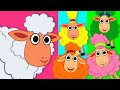 Five Cute Colorful Sheep Nursery Rhymes For Kids 