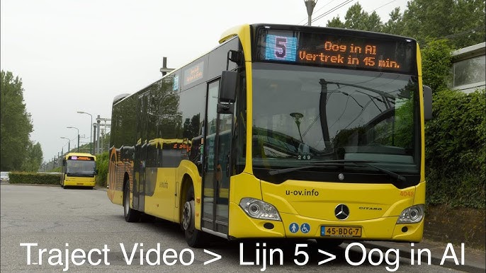 Osmir qizlardagi kokraklar