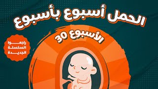 الاسبوع الثلاثون من الحمل - Week 30 Pregnancy