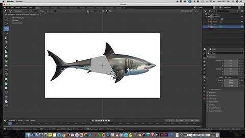 Blender: Low-Poly Shark Demo