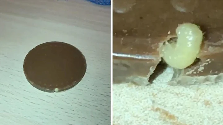 Mum Finds Maggot In Kids Chocolate