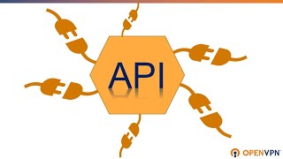 Celebrity Using OpenVPN Cloud API for System Integration and Automation Net Worth