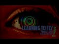 Pink Floyd - Learning to Fly (Ruslan Kuzmenko Cover)