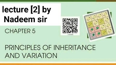 principal of inheritance lecture 2 by Nadeem sir #neet2024 Shaheen group of institution Mendel work