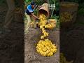 Why Farmers Bury Bananas in the Ground for Days 🍌😨