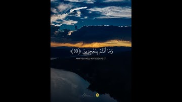 هود [ الآية 32 : 34 ] | Hud 🌻