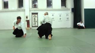 Aikido, ekzamin na 2 dan, 2013, 2