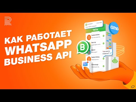 Как работает WhatsApp Business API в amoCRM? Официальный WhatsApp: коротко о главном