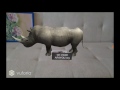 Augmented reality rhinoceros animals wwwar4youorg