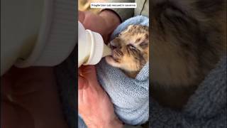 Few Years Ago, No One Wanted Him Now Hes Family.