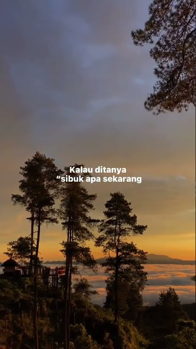 Story whatsapp // Kalau ditanya sibuk apa sekarang? kalian bakalan jawab apa nich😄