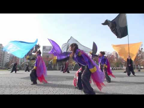 第７回　四日市やったろ舞　市民公園会場　四日市嘉舞羅さん